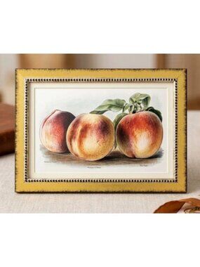 PETAL LANE HOME Vintage Print Peach GOLD FRAME 10" X 7"